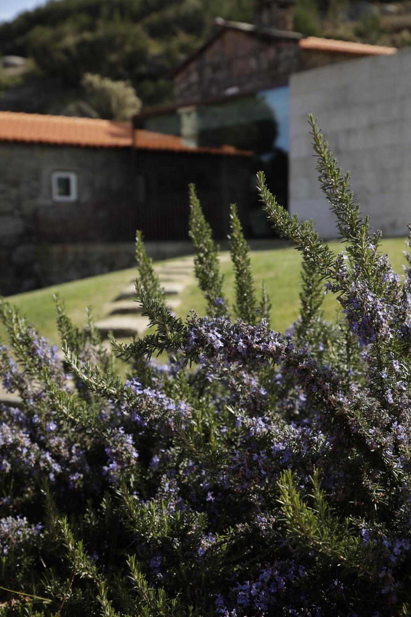 Geres - Leiras Do Tempo - Cottages Brufe Eksteriør bilde